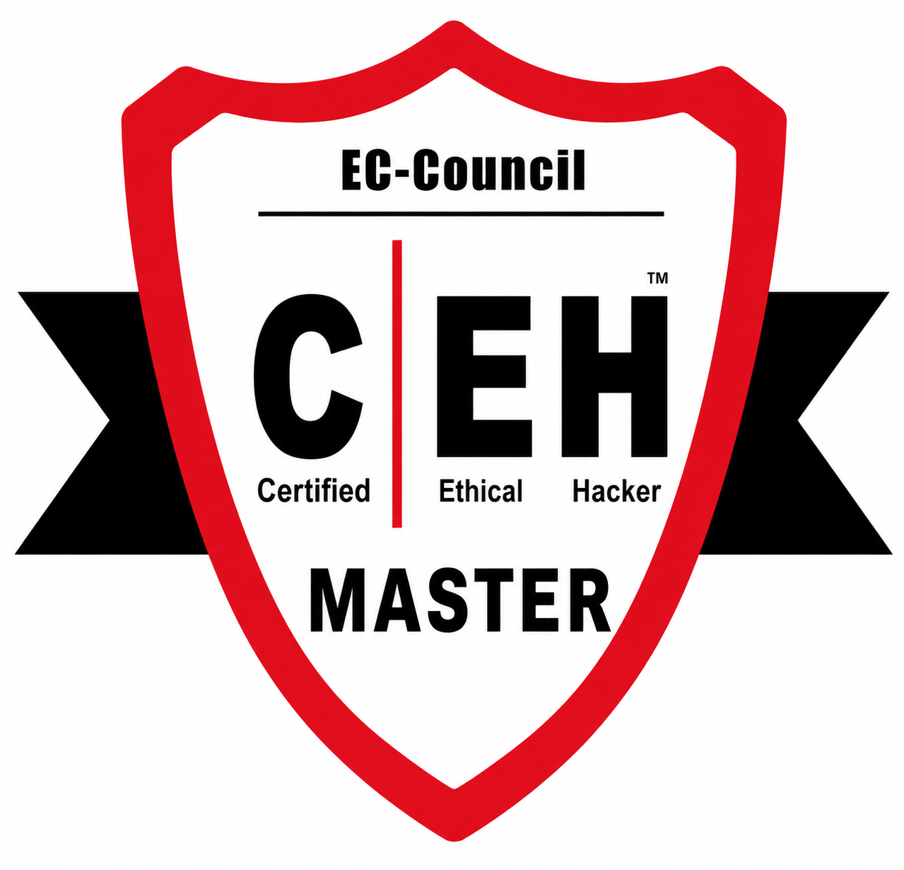 Certified Ethical Hacker (C|EH Master)