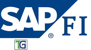 SAP FI (Financial Accounting)