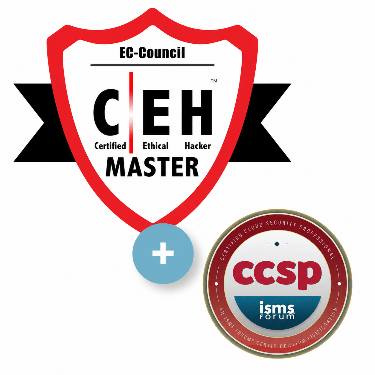 Professional Cybersecurity (CCSP + C|EH Master)