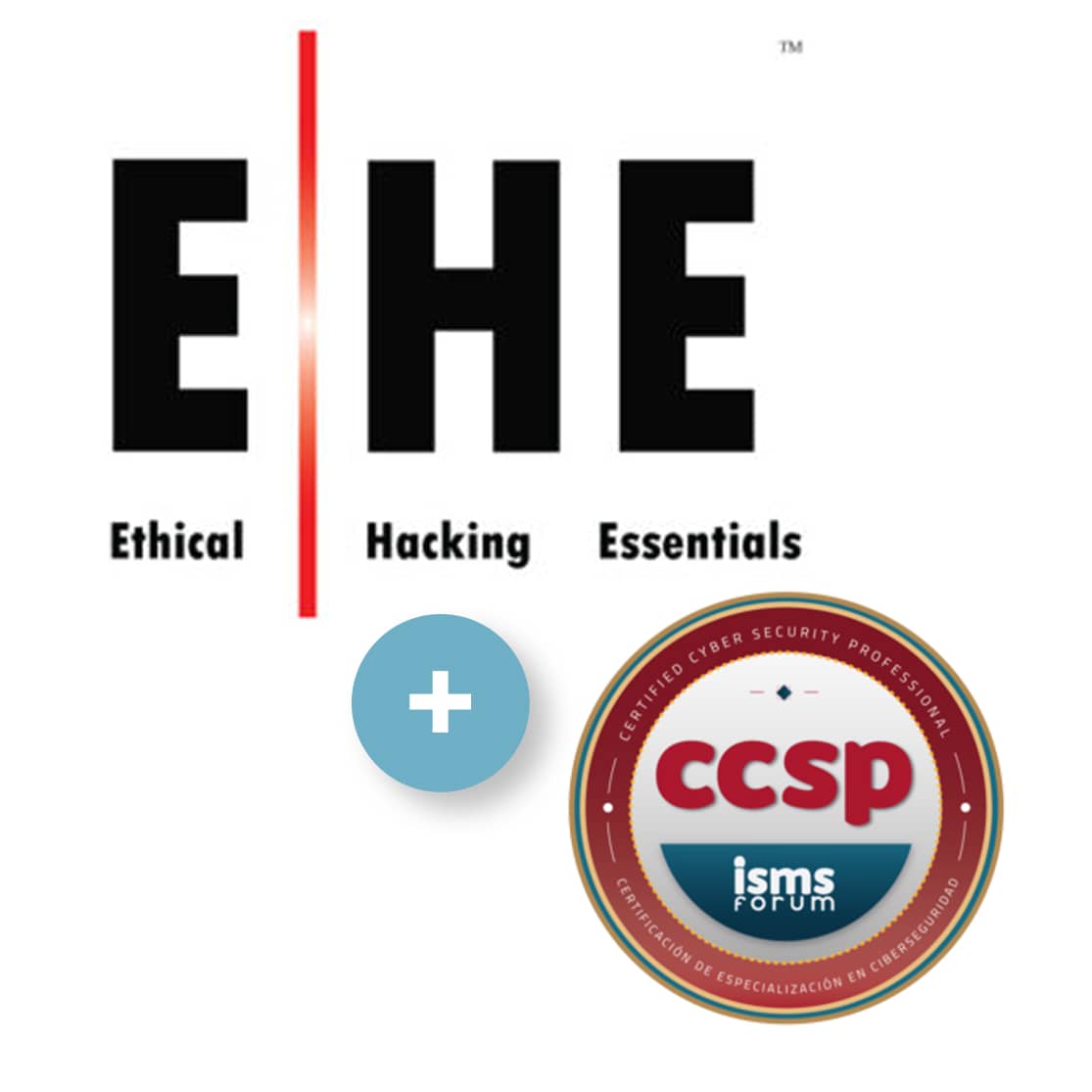 Cybersecurity Essentials (CCSP + EHE)