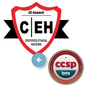 Professional Cybersecurity (ccsp + Ceh) Certihub